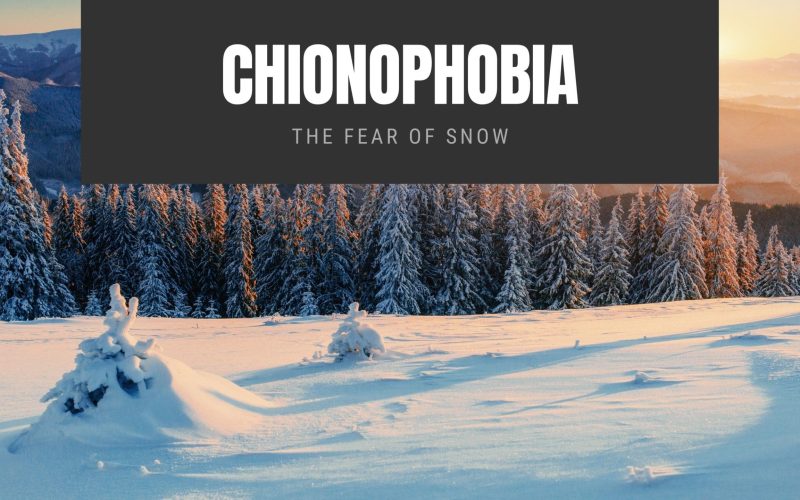 Chionophobia The Fear of Snow