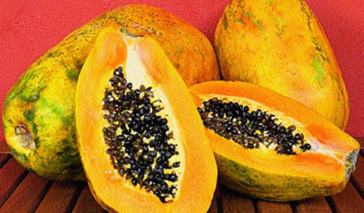 Papaya