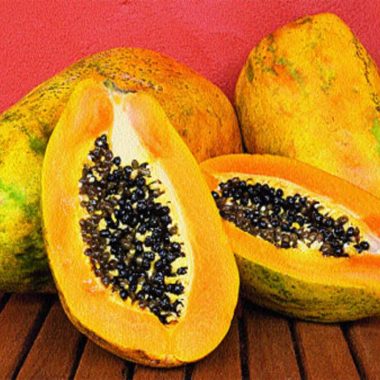 Papaya