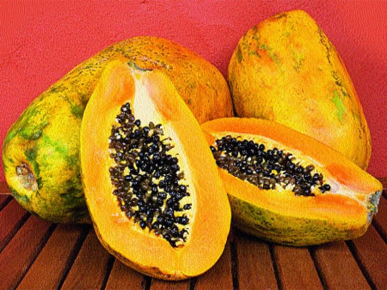 Papaya