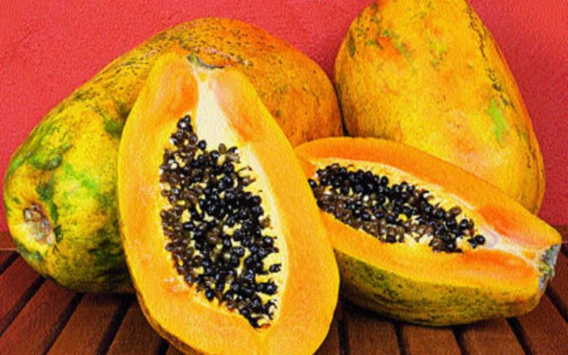 Papaya