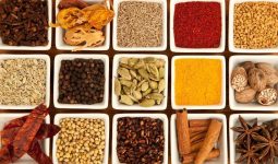 Spices of India
