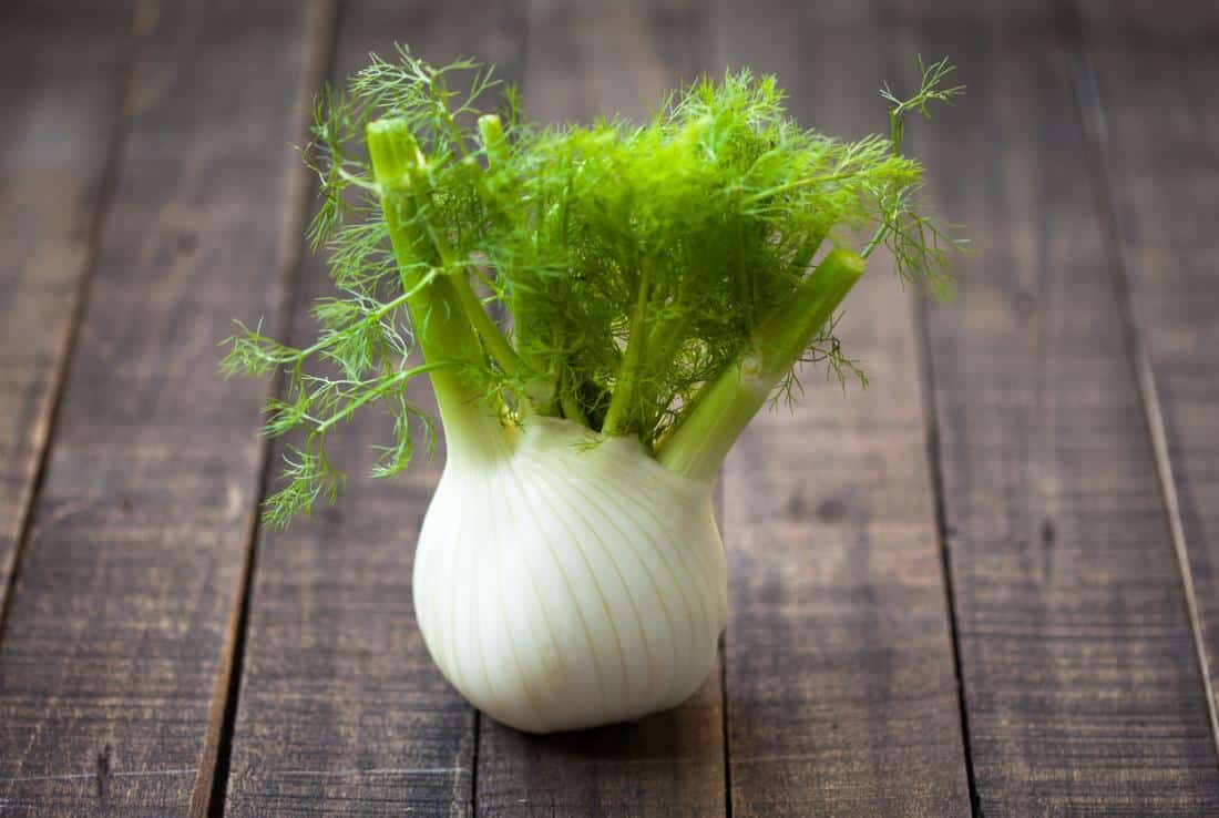 Fennel (Saunf)