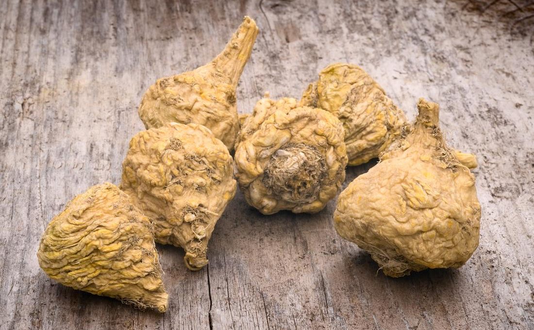 Benefits of Maca