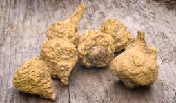 Benefits of Maca