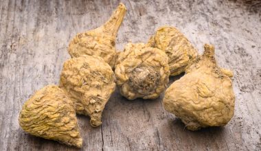 Benefits of Maca