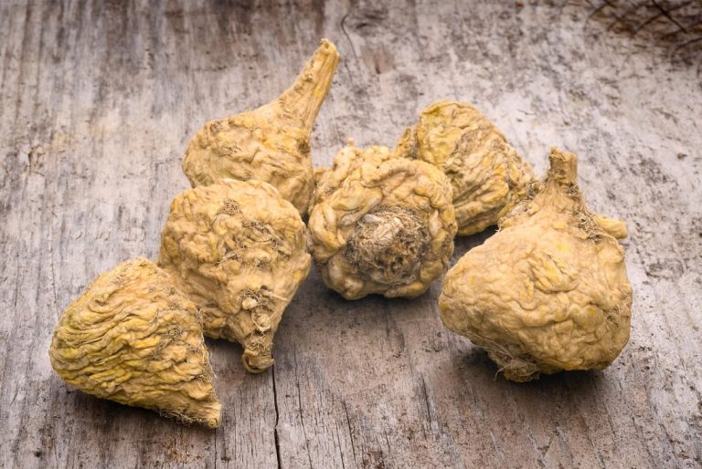 Benefits of Maca