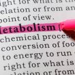 10 Foods That Can Promote Metabolism