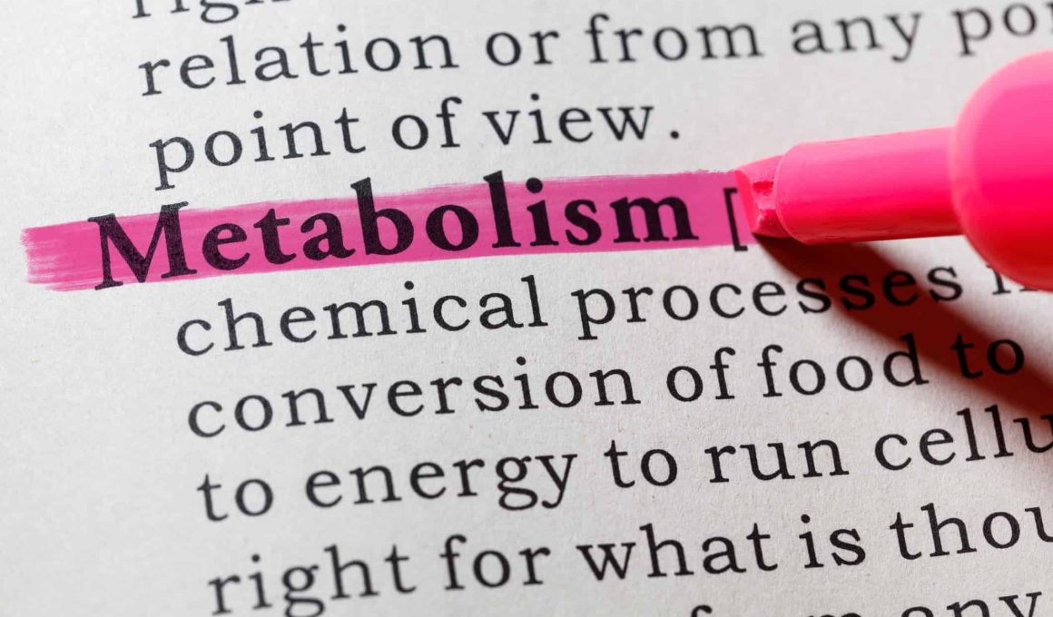 10 Foods That Can Promote Metabolism