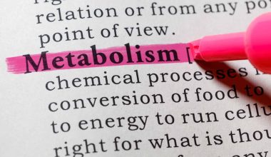 10 Foods That Can Promote Metabolism
