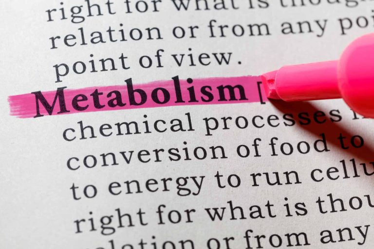 10 Foods That Can Promote Metabolism