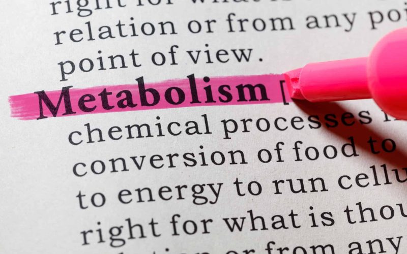 10 Foods That Can Promote Metabolism