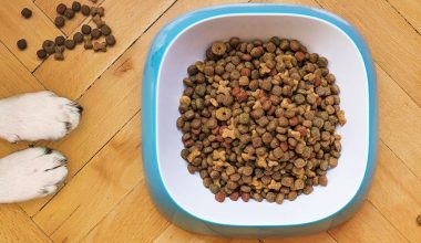 Pet Food Online