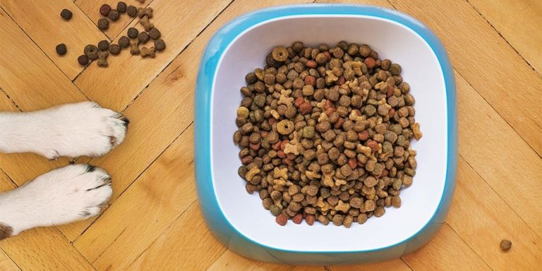 Pet Food Online