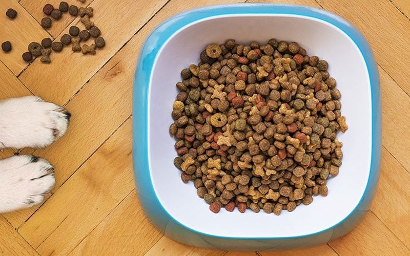 Pet Food Online