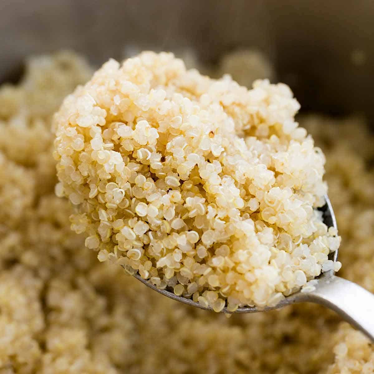 Quinoa