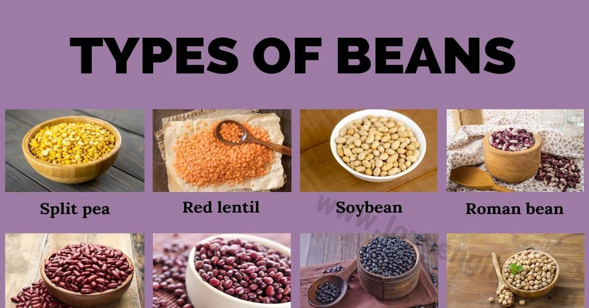 Types of Beans