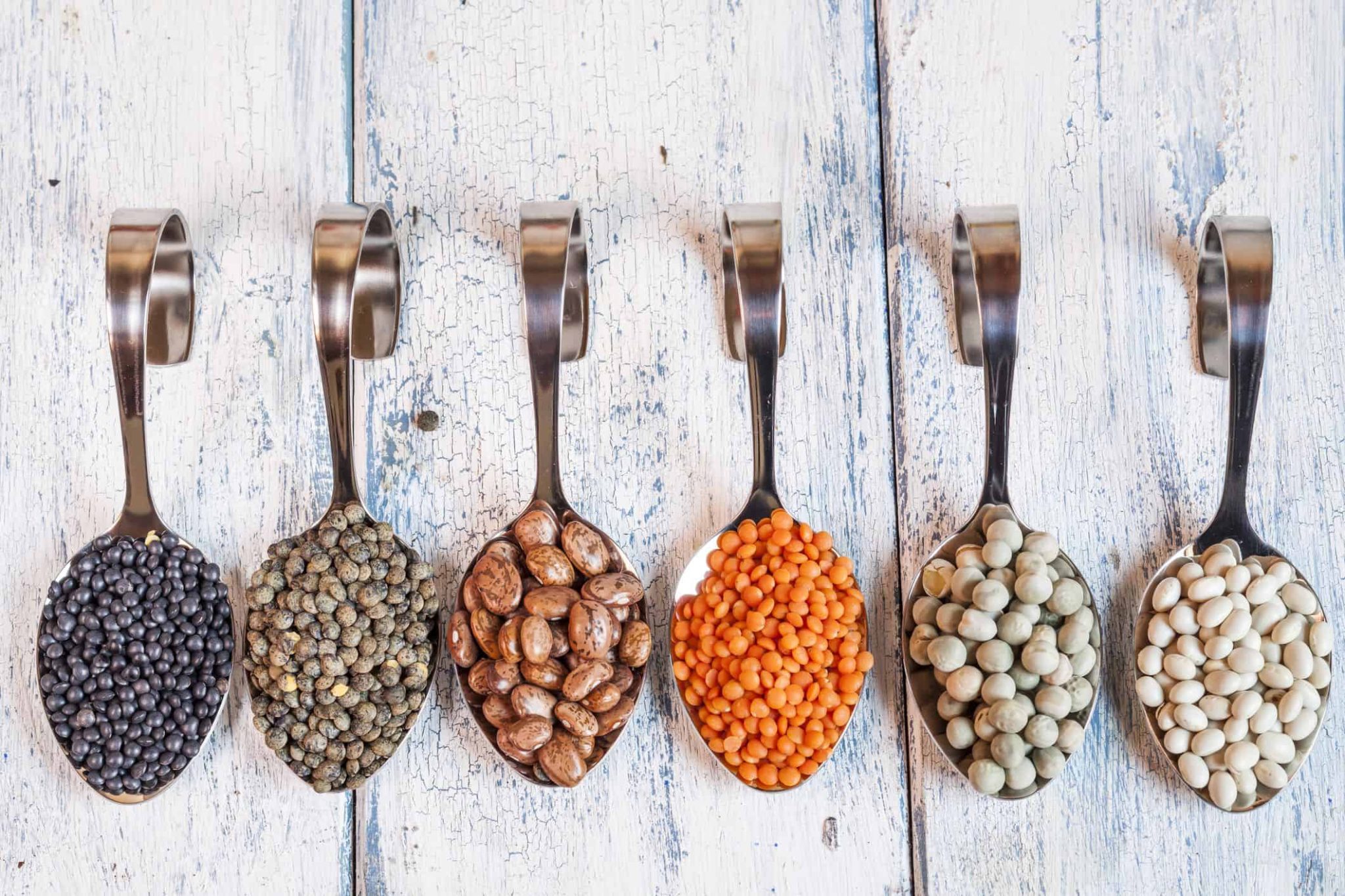 17 Different Types of Beans: Complete Guide to Varieties, Nutrition ...