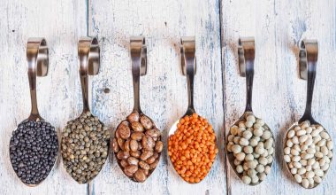 Types of Beans