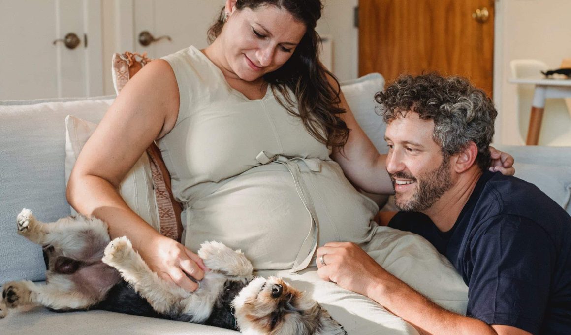 Cat, Pregnancy and Baby