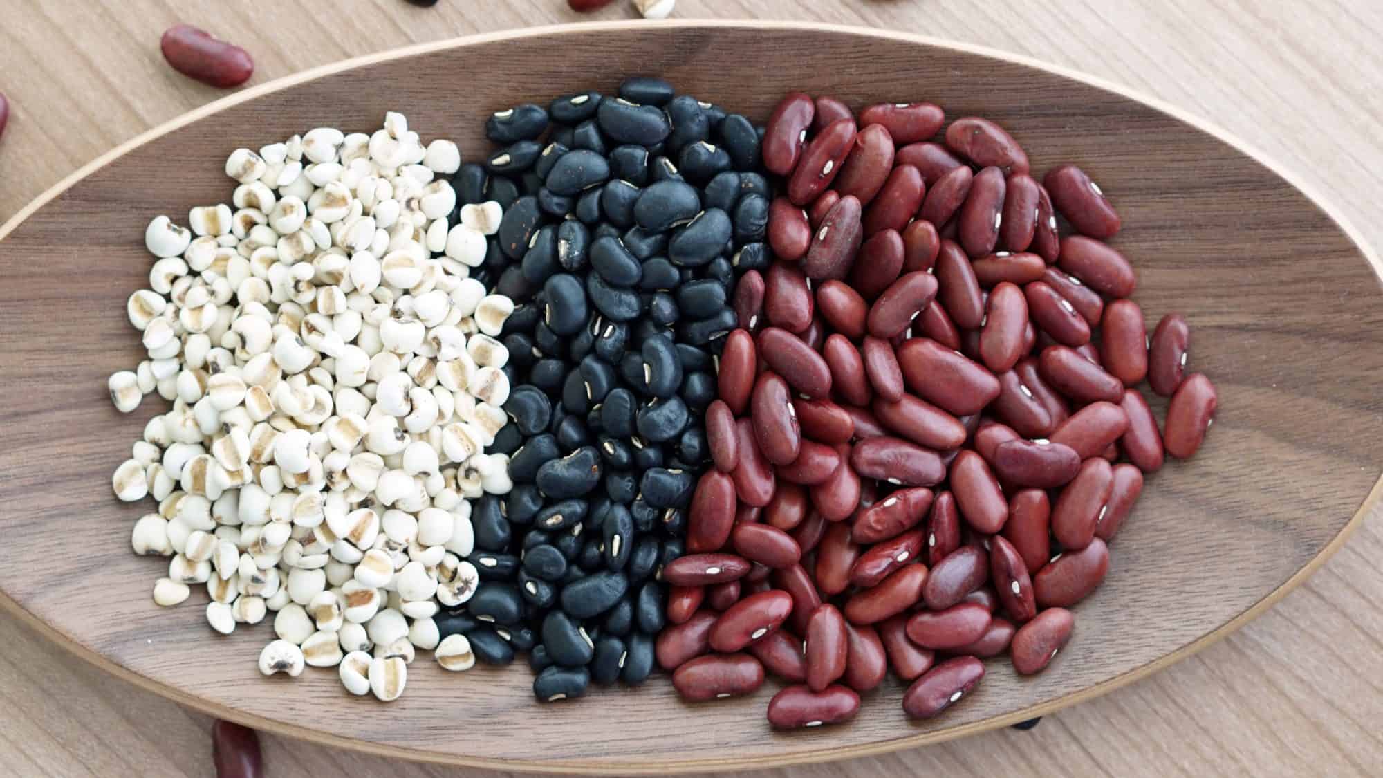 types of beans