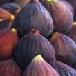 Figs