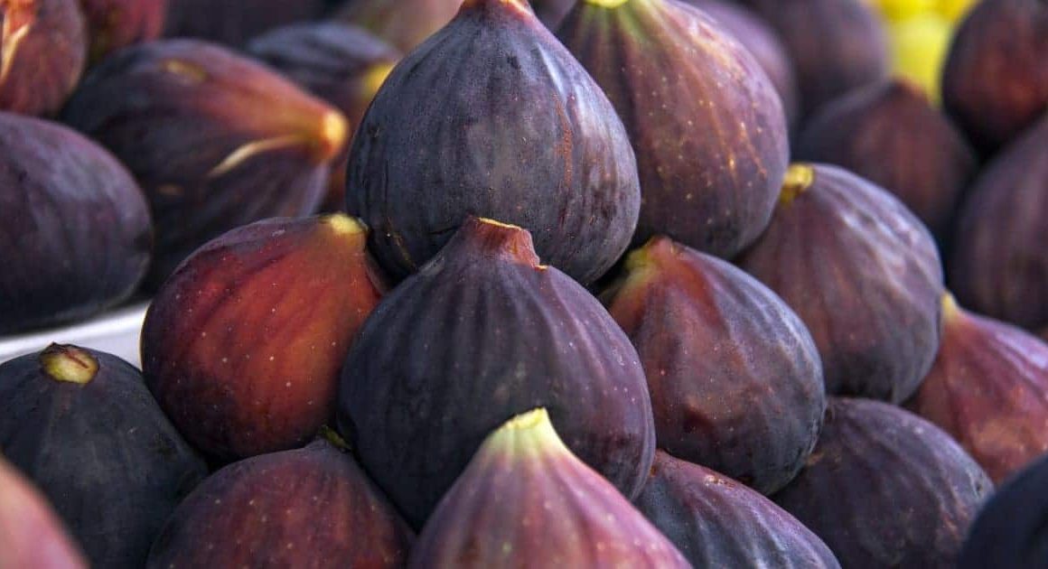 Figs