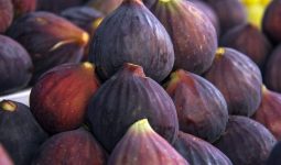 Figs