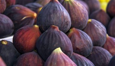 Figs