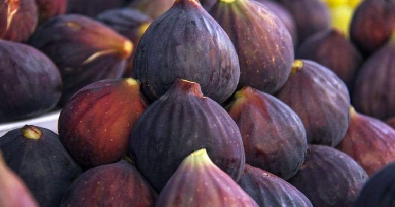 Figs
