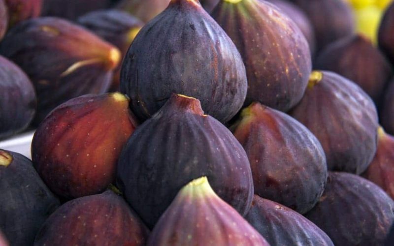 Figs