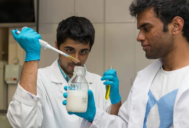 Lab Milk