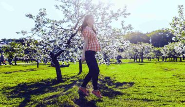 Pregnancy Quotes