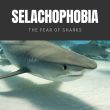 Selachophobia: The Fear of Sharks