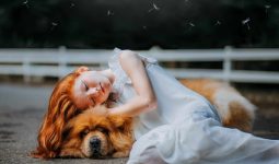 How to Keep Your Child Safe Around Dogs?