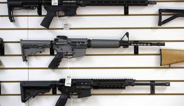 Types of Guns