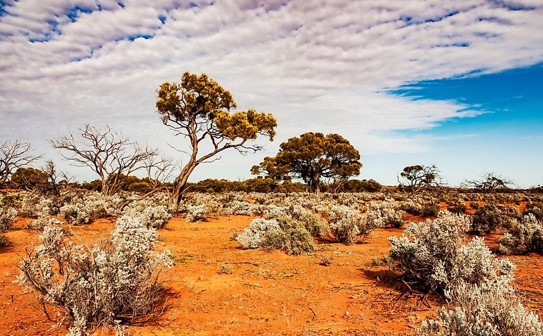 Driest Countries