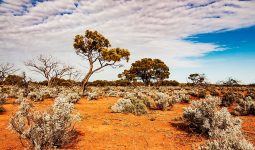 Driest Countries