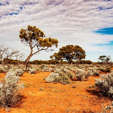 Driest Countries