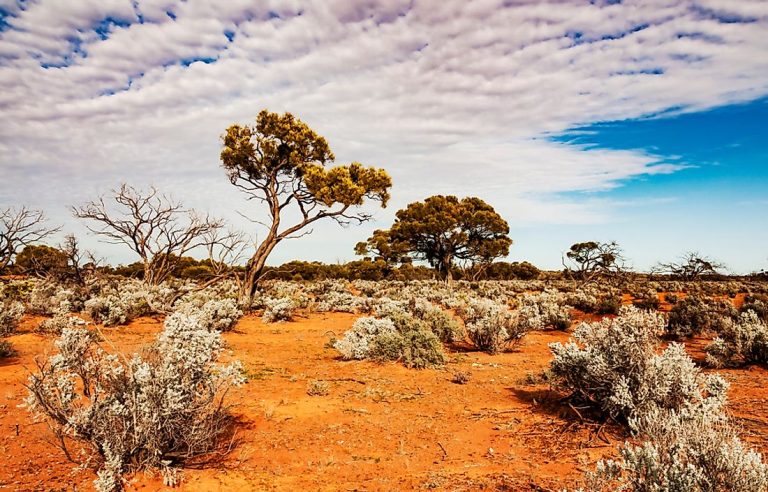 Driest Countries