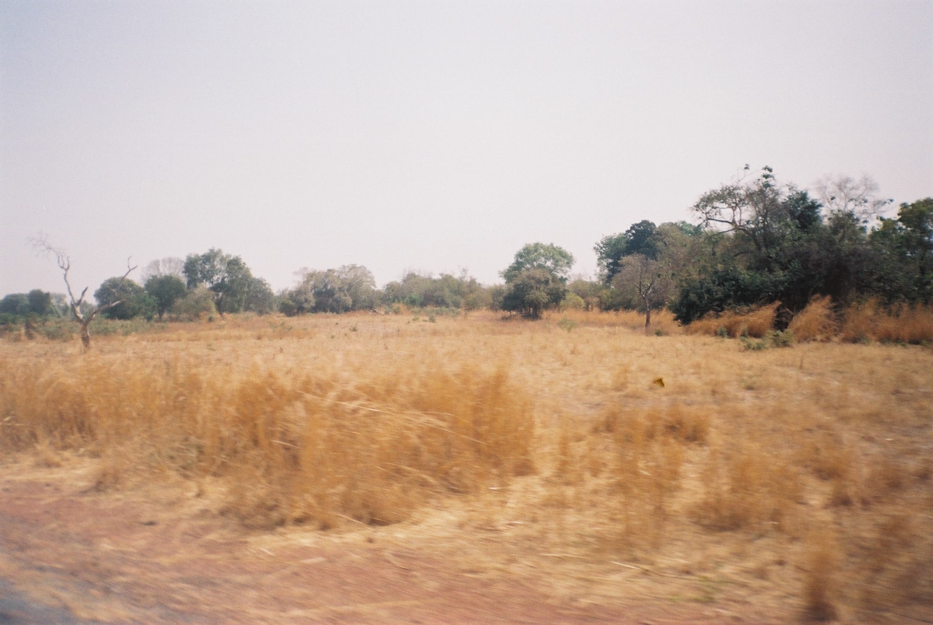 Sudan Driest Countries in the World