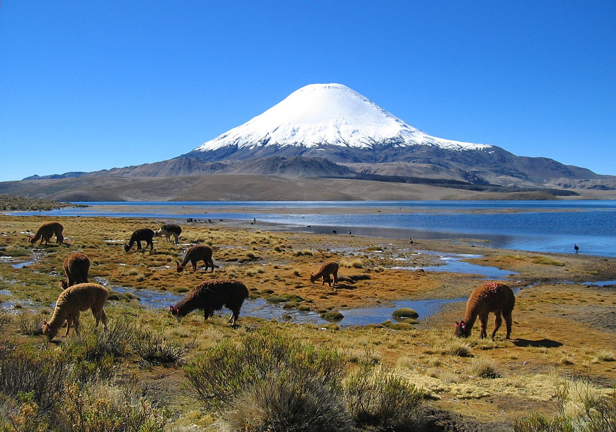 Chile Driest Countries