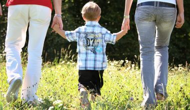 Equal Shared Parenting