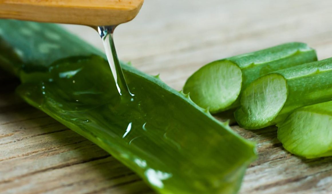 How to Make Aloe Vera Juice