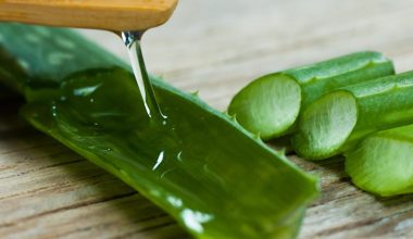 How to Make Aloe Vera Juice