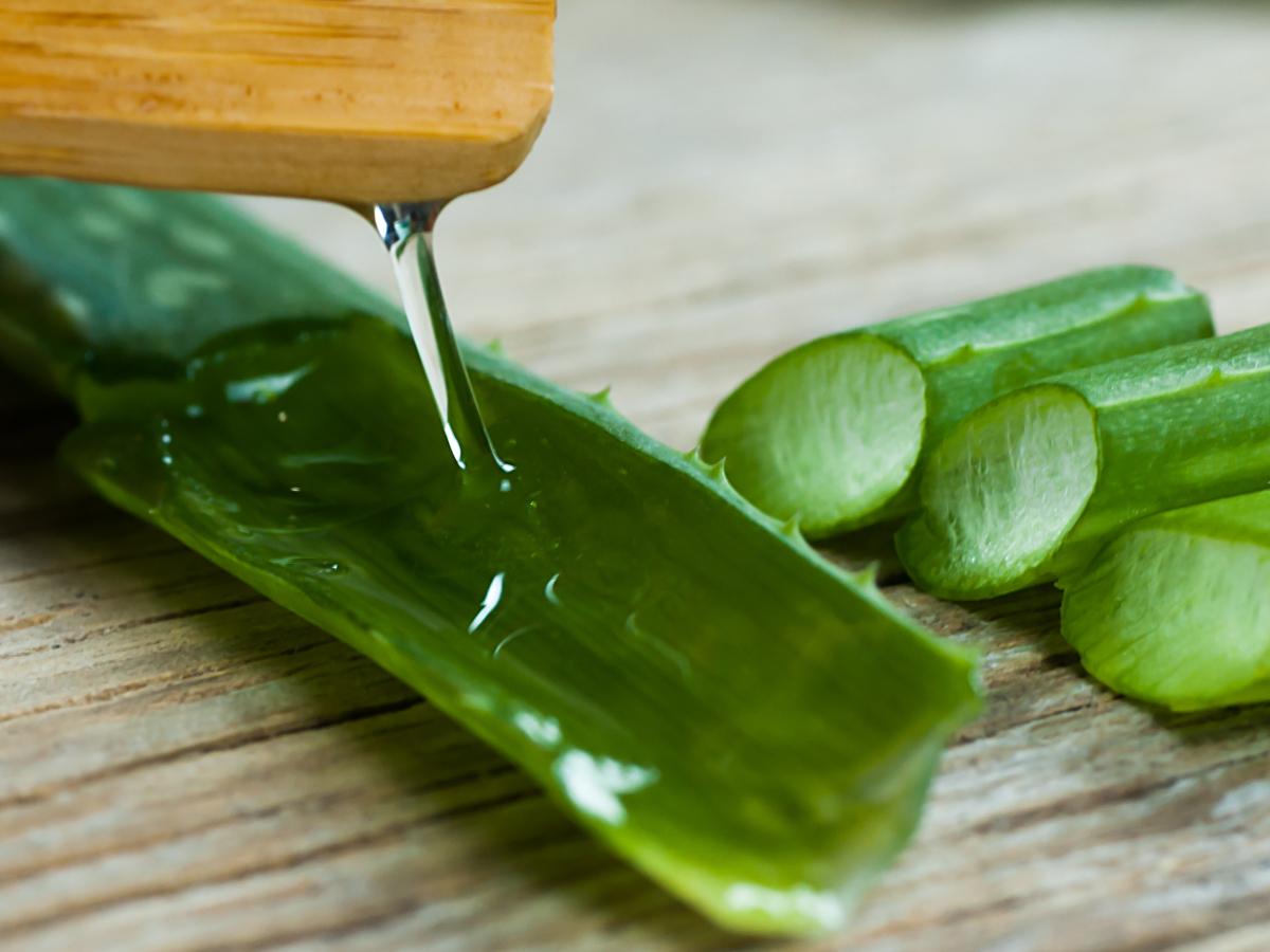 How to Make Aloe Vera Juice