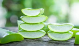 How to Eat Aloe Vera
