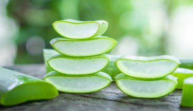 How to Eat Aloe Vera