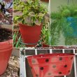 Different Types of Pots for Plants