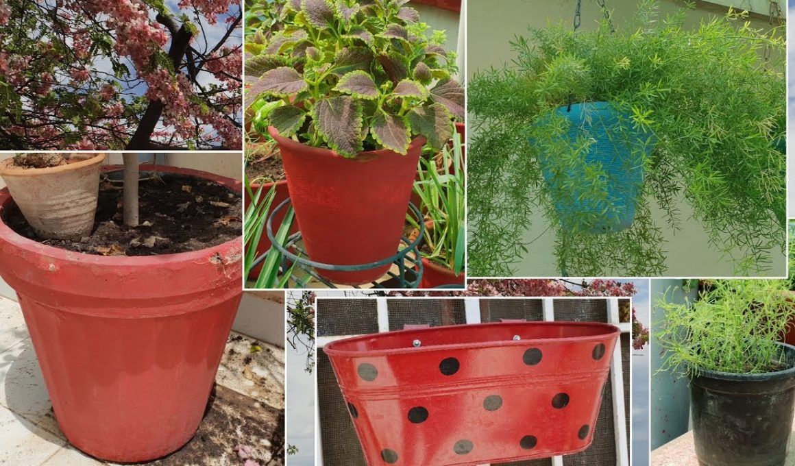 Different Types of Pots for Plants